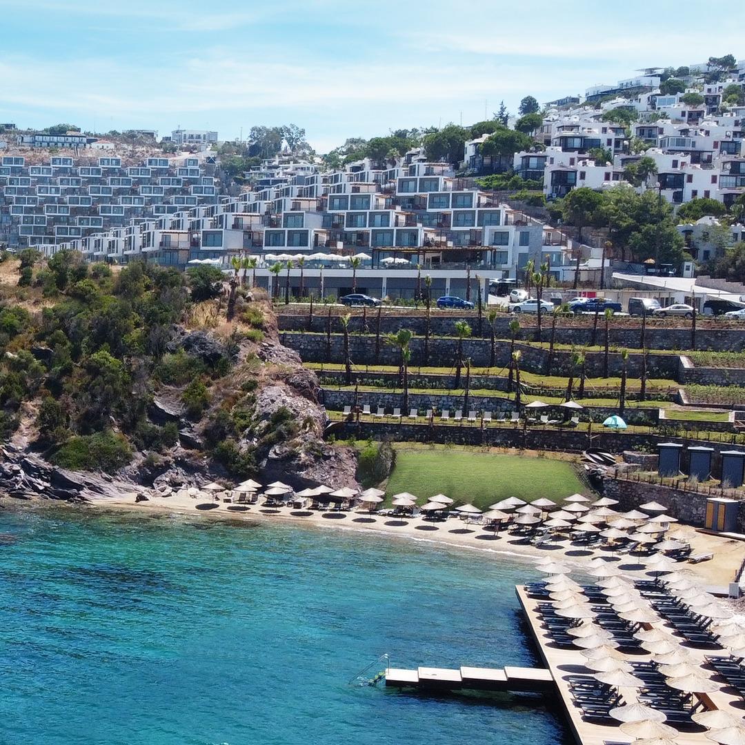 Bodrum Adabükü